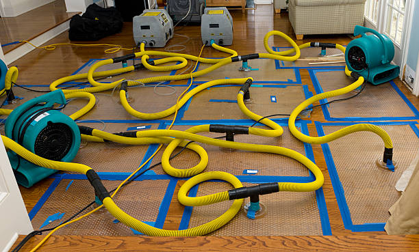 Professional Water Damage Restoration technician working in Foster, WV
